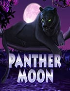 สัมผัสความสนุกของ เกม ยู ฟ่า สล็อต แบบทดลองเล่น